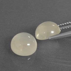 Gemme di Pietra di luna Bianco caldo naturale da 6.09 ct, Taglio rotondo, Traslucido