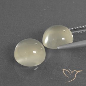 Gemme di Pietra di luna Bianco caldo naturale da 6.30 ct, Rotondo, Traslucido