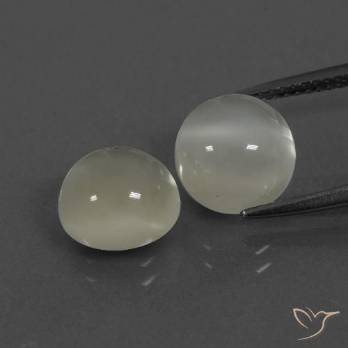 6.79ctw Naturale Bianco caldo Pietra di luna, Rotondo, Traslucido