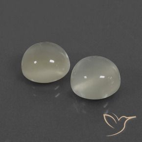Gemme di Pietra di luna Bianco caldo naturale da 6.79 ct, Rotondo, Traslucido