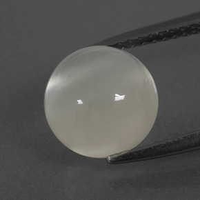 Pietra di luna naturale bianco da 3,46 ct, taglio rotondo, traslucido
