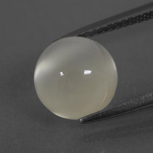 Pietra di luna Bianco caldo naturale da 3.72 ct, Taglio rotondo, Traslucido