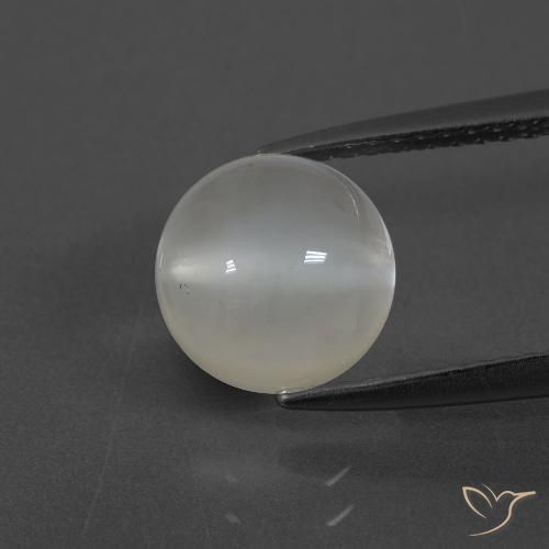 2.43ct Naturale Bianco caldo Pietra di luna, Rotondo, Traslucido