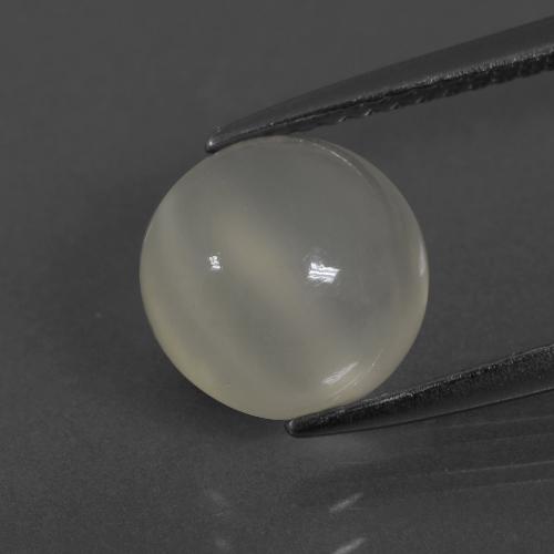 Pietra di luna naturale bianco da 2,64 ct, taglio rotondo, traslucido