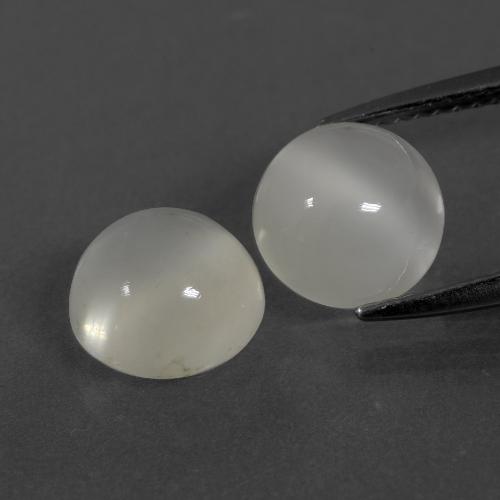 Gemme di Pietra di luna Bianco caldo naturale da 4.27 ct, Taglio rotondo, Traslucido