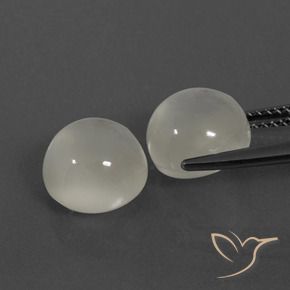 Gemme di Pietra di luna Bianco caldo naturale da 7.56 ct, Rotondo, Traslucido
