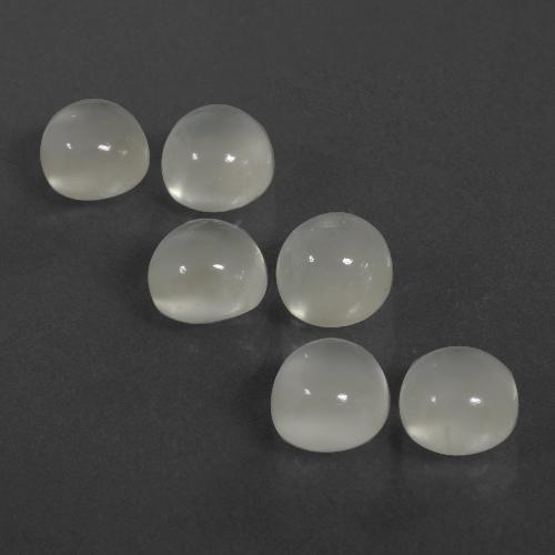 Pietra di luna naturale bianco da 7,26 ct, taglio rotondo, traslucido