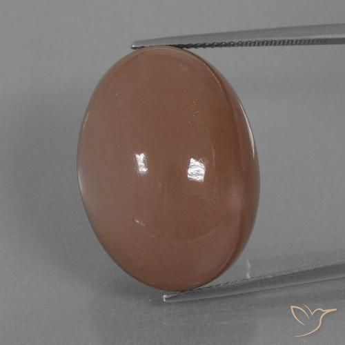 Pietra di luna Marrone naturale da 42.17 ct, Ovale, Opaco