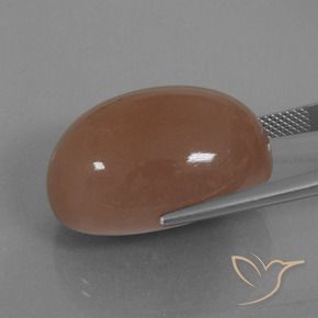 Pietra di luna Marrone naturale da 42.17 ct, Ovale, Opaco