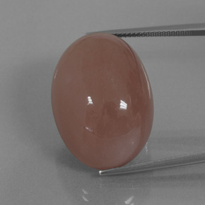 Pietra di luna naturale marrone da 49,49 ct, taglio ovale, opaco