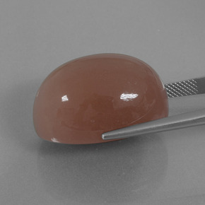 Pietra di luna naturale marrone da 49,49 ct, taglio ovale, opaco