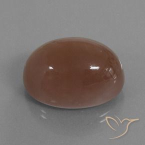 Pietra di luna Marrone caldo naturale da 44.24 ct, Ovale, Opaco