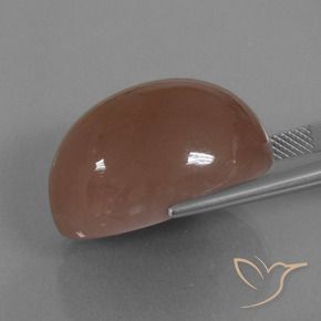 Pietra di luna Marrone caldo naturale da 44.24 ct, Ovale, Opaco