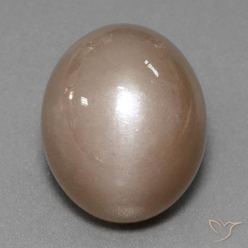 41.53ct Naturale Marrone neutro Pietra di luna, Ovale, Opaco