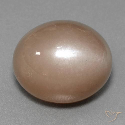 Pietra di luna Marrone neutro naturale da 41.53 ct, Ovale, Opaco