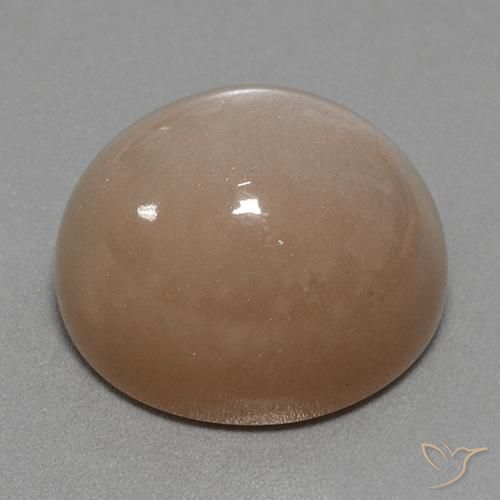 Pietra di luna Marrone neutro naturale da 41.53 ct, Ovale, Opaco