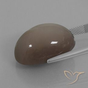 Pietra di luna Marrone medio naturale da 39.74 ct, Ovale, Opaco