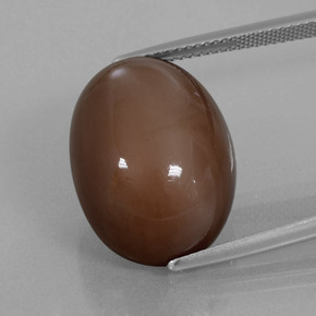 Pietra di luna naturale marrone da 22,96 ct, taglio ovale, opaco