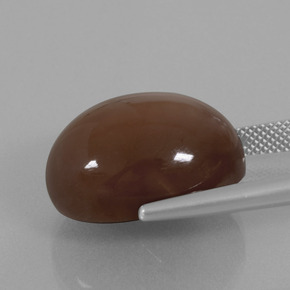 Pietra di luna naturale marrone da 22,96 ct, taglio ovale, opaco