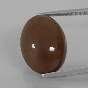 Pietra di luna marrone cioccolato naturale da 20,25 ct, taglio ovale, opaco