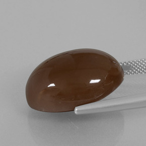 Pietra di luna marrone cioccolato naturale da 20,25 ct, taglio ovale, opaco