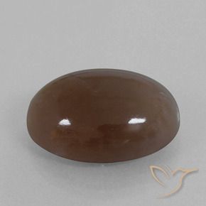 Pietra di luna Marrone medio naturale da 22.40 ct, Ovale, Opaco