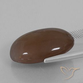 Pietra di luna Marrone cioccolato naturale da 28.02 ct, Ovale, Opaco