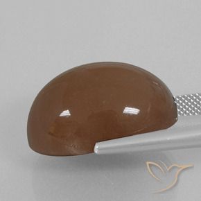 Pietra di luna Marrone caldo naturale da 29.70 ct, Ovale, Opaco