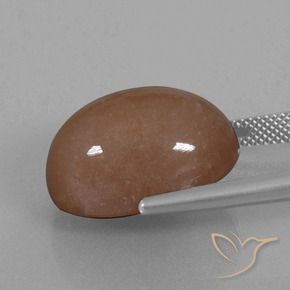Pietra di luna Marrone naturale da 21.86 ct, Ovale, Opaco