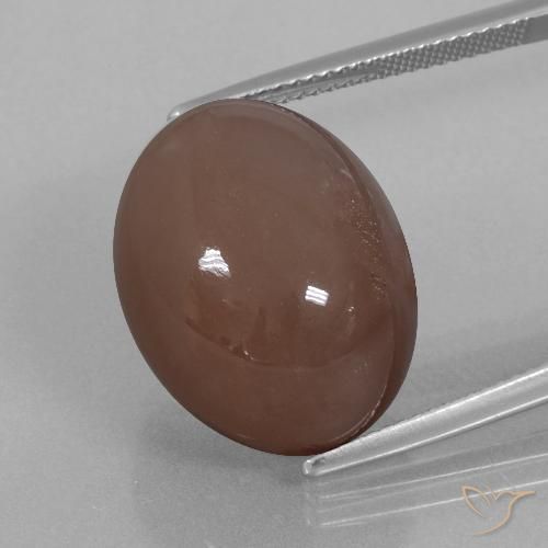 25.76ct Naturale Espresso Marrone Pietra di luna, Ovale, Opaco