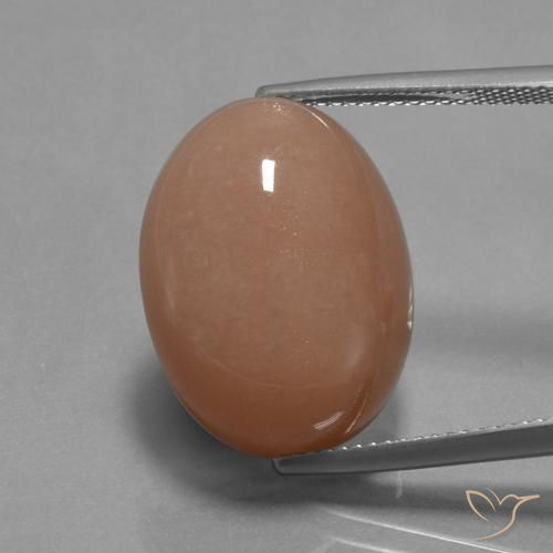 18.19ct Naturale sidro d'arancia Pietra di luna, Ovale, Opaco
