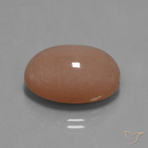 Pietra di luna sidro d'arancia naturale da 18.19 ct, Ovale, Opaco