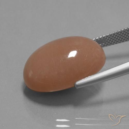 Pietra di luna sidro d'arancia naturale da 18.19 ct, Ovale, Opaco
