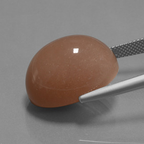 Pietra di luna sidro d'arancia naturale da 24.57 ct, Taglio ovale, Opaco