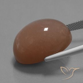 Pietra di luna Marrone medio naturale da 30.59 ct, Ovale, Opaco