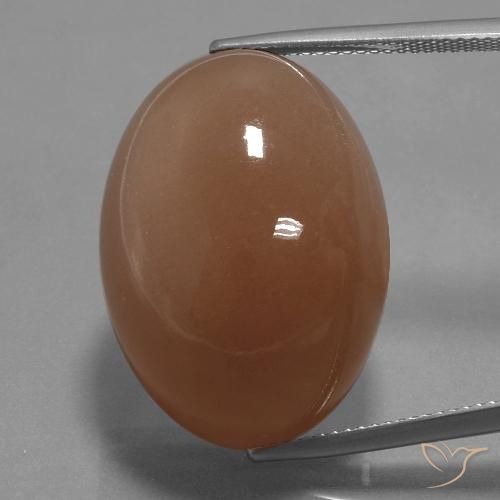Pietra di luna Marrone caldo naturale da 44.65 ct, Taglio ovale, Opaco