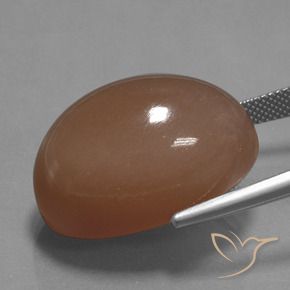 Pietra di luna Marrone caldo naturale da 44.65 ct, Taglio ovale, Opaco