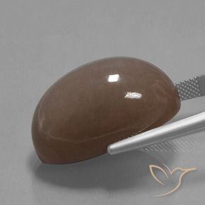 Pietra di luna Marrone medio naturale da 42.26 ct, Ovale, Opaco