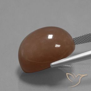 Pietra di luna Marrone medio naturale da 35.65 ct, Ovale, Opaco