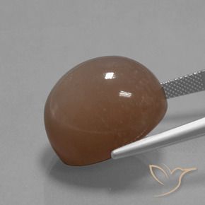 Pietra di luna Marrone medio naturale da 34.59 ct, Ovale, Opaco