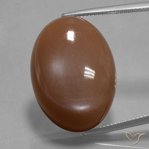 33.40ct Naturale Marrone caldo Pietra di luna, Ovale, Opaco