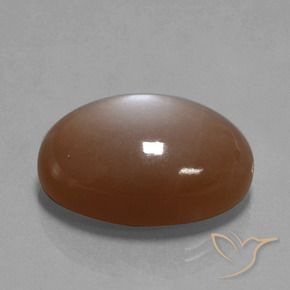 Pietra di luna Marrone caldo naturale da 33.40 ct, Ovale, Opaco