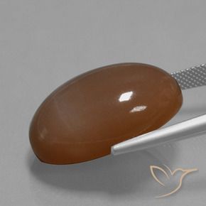 Pietra di luna Marrone caldo naturale da 33.40 ct, Ovale, Opaco