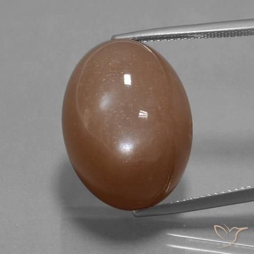 32.77ct Naturale Marrone caldo Pietra di luna, Ovale, Opaco