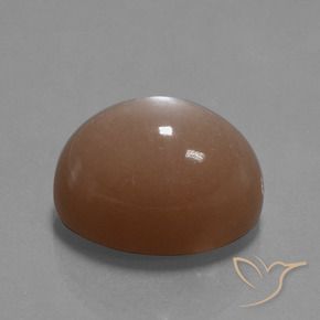 Pietra di luna Marrone caldo naturale da 32.77 ct, Ovale, Opaco