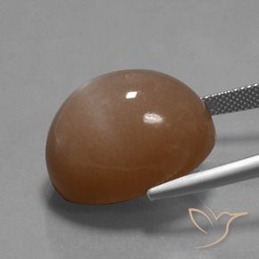 Pietra di luna Marrone caldo naturale da 32.77 ct, Ovale, Opaco