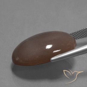 Pietra di luna Marrone medio naturale da 27.29 ct, Ovale, Opaco
