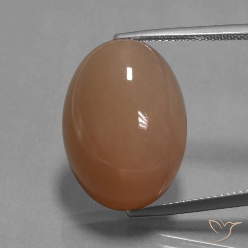 27.10ct Naturale Pesca brunastra Pietra di luna, Ovale, Opaco