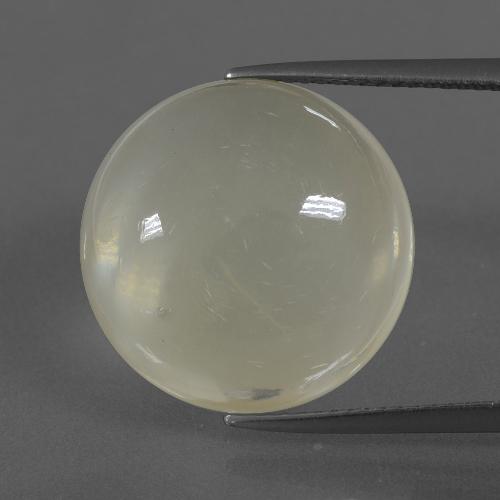 Pietra di luna naturale giallo da 14,39 ct, taglio rotondo, traslucido