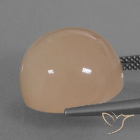 Pietra di luna Arancione chiaro naturale da 19.74 ct, Rotondo, Traslucido